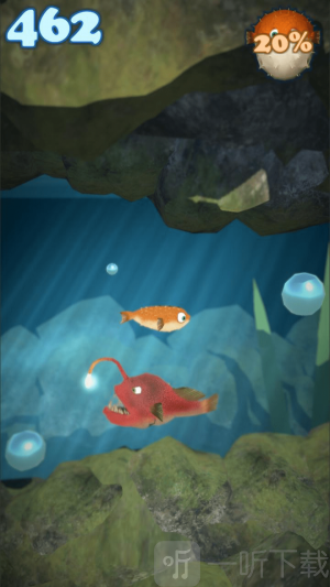 疯狂的海豚