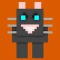 捉住像素猫