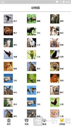 宠物翻译机