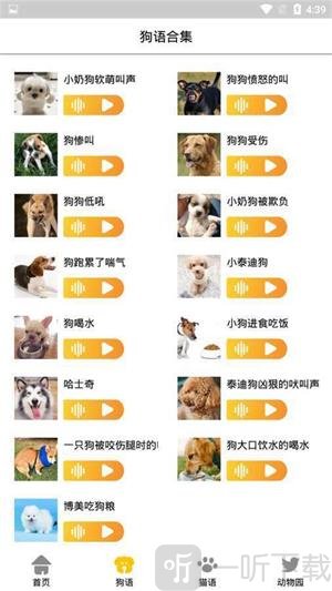 宠物翻译机