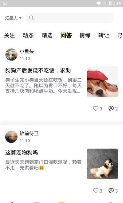 宠物世界