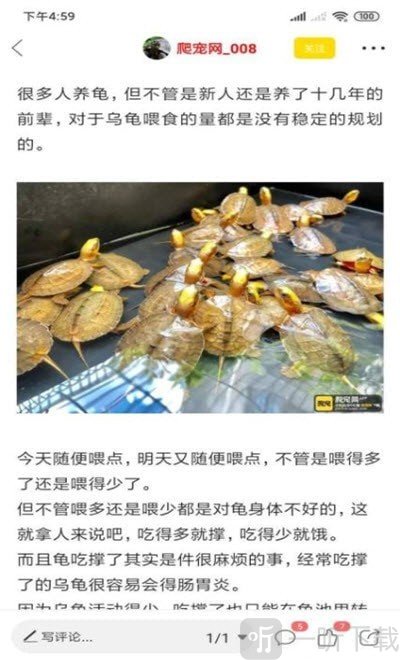 萌宠来了