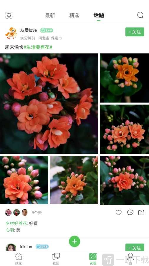 百花卉