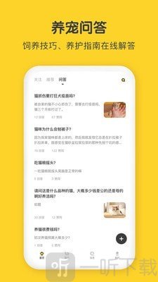 尖叫猫