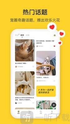 尖叫猫