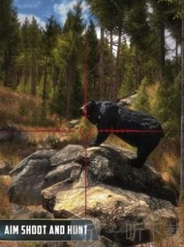 动物猎人丛林狙击手射击