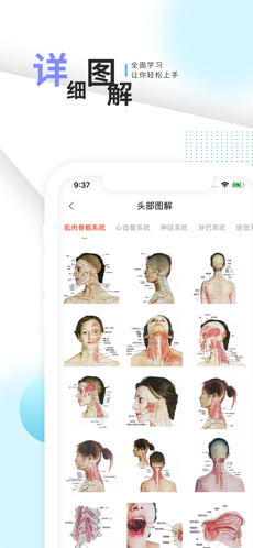 3D人体解剖学