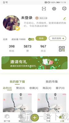 膝下猫