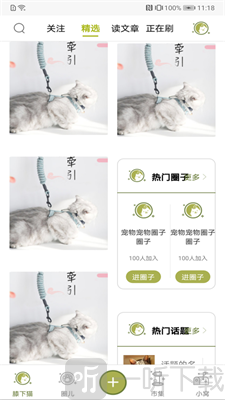 膝下猫