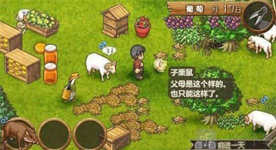 欢迎来到绵羊村