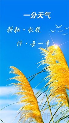 天气预报神器