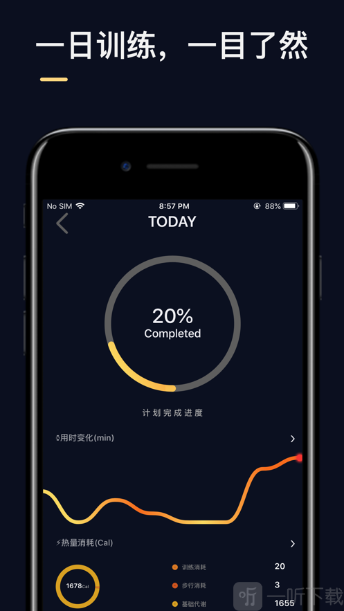 Fitnex