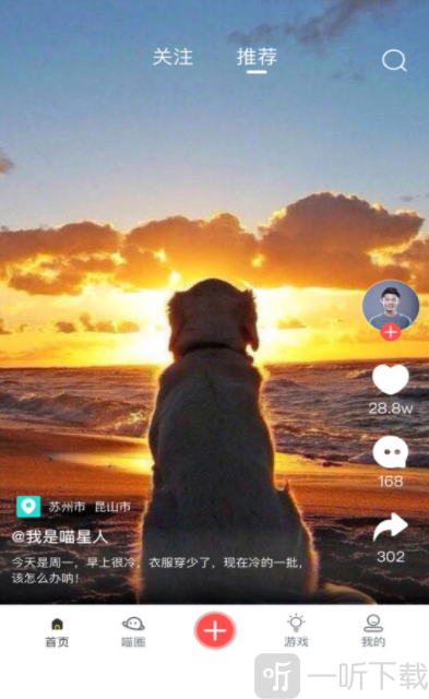 宠布丁