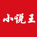 免费小说王追书版