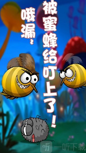 蜘蛛仔豆豆