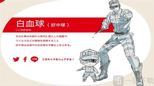 永远的工作细胞
