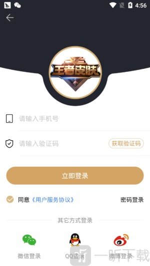 皮肤助手