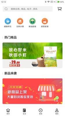 绿港服务