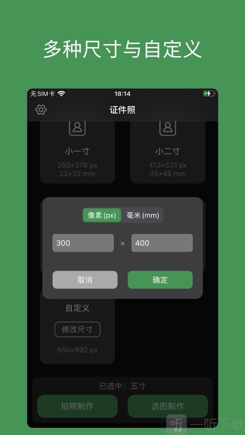 白描证件照
