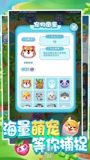 一起来捉宠