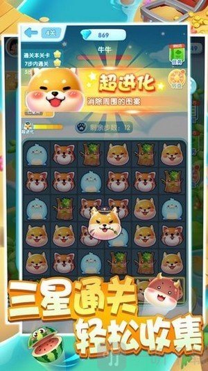 一起来捉宠