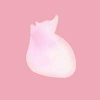 life生命