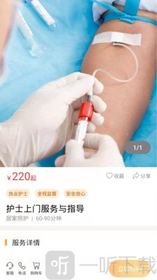 银杏家