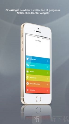 OneWidget
