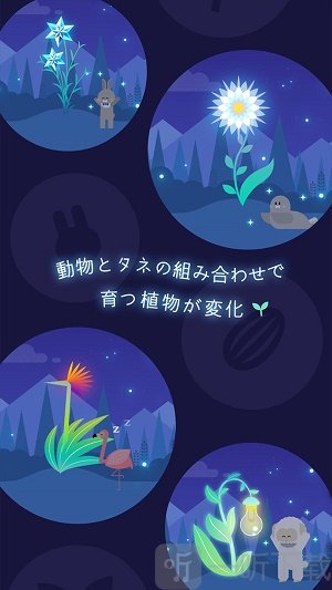 猫星大作战