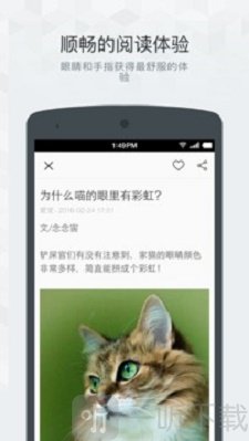 果壳精选