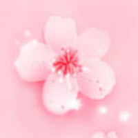 鲜花直播