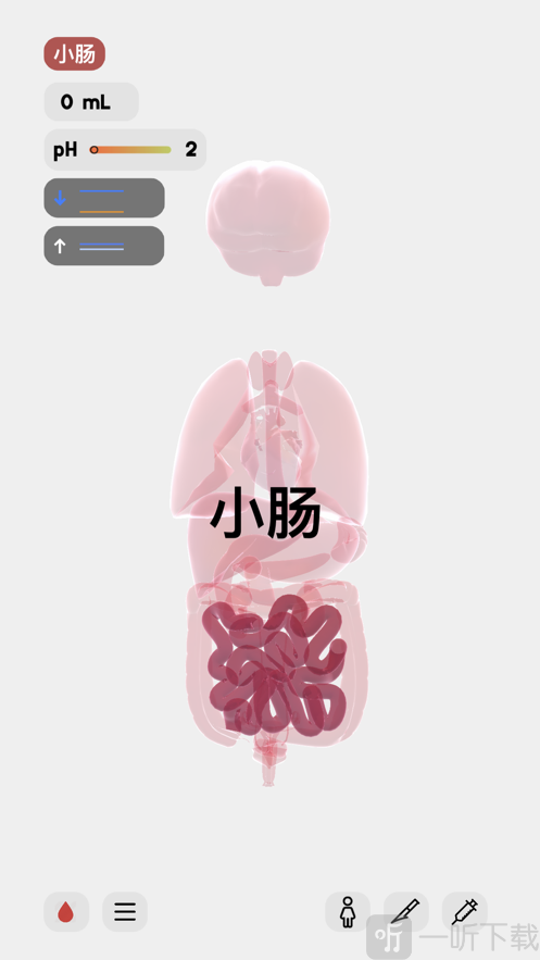 生命life