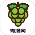 青提网
