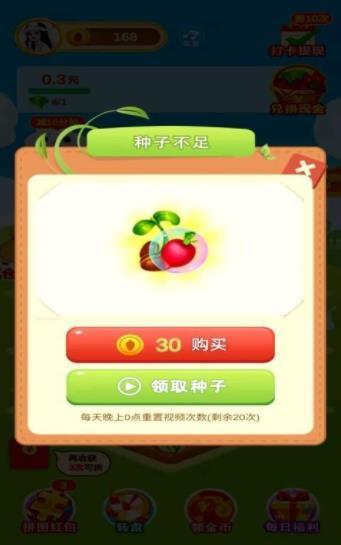 玫瑰玫瑰花园花园