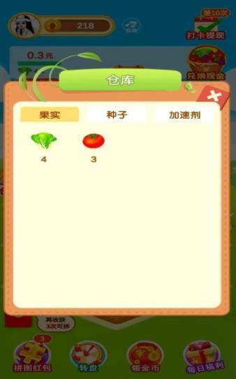 玫瑰玫瑰花园花园