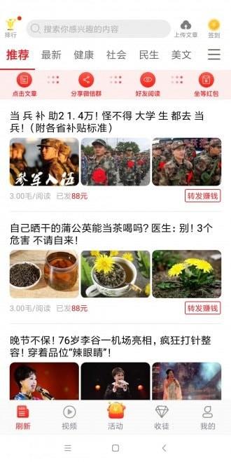 呆呆豹