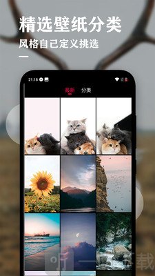 NEW壁纸