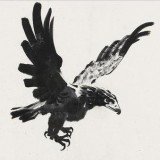 神鹰吃鸡辅助