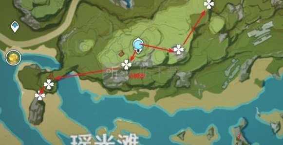 原神清心花在哪里刷新 清心花采集点分布图