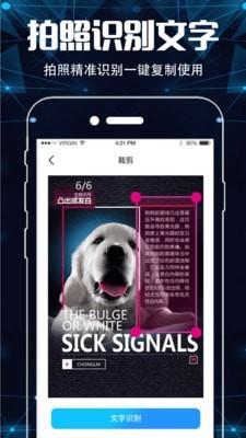 照片转文字