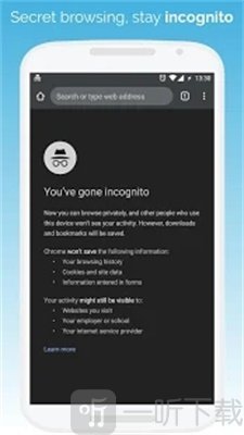 Kiwi Browser