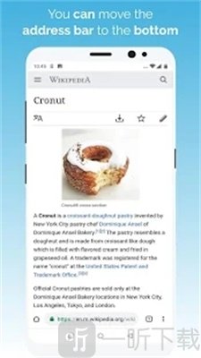 Kiwi Browser