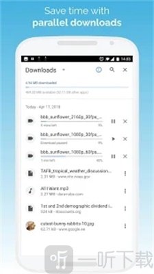 Kiwi Browser