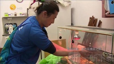 大视界TV