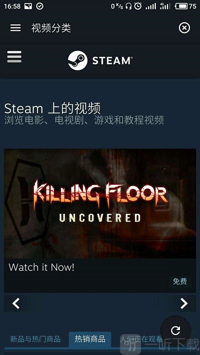 Steam Go