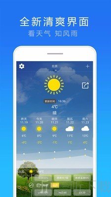 天气实况预报