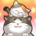 猫宅日记