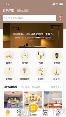 极家严选