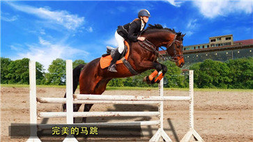 骑马比赛