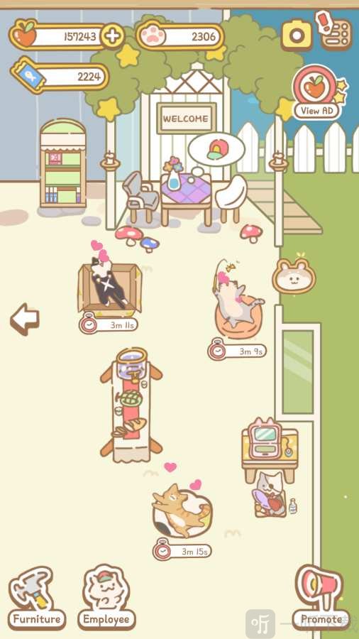 猫咪Spa